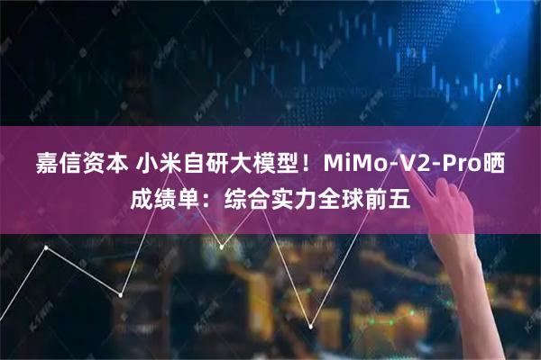 嘉信资本 小米自研大模型！MiMo-V2-Pro晒成绩单：综合实力全球前五