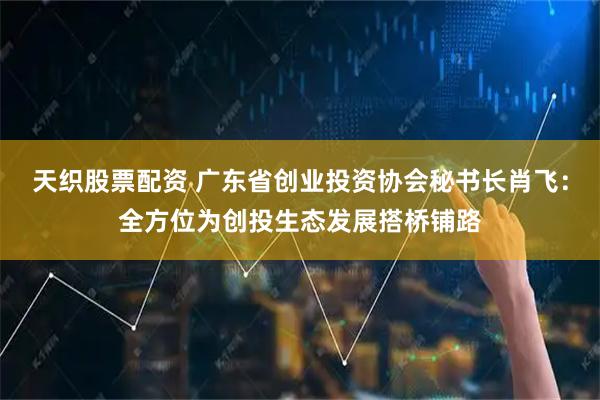 天织股票配资 广东省创业投资协会秘书长肖飞：全方位为创投生态发展搭桥铺路