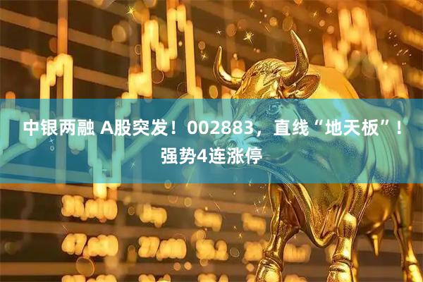 中银两融 A股突发！002883，直线“地天板”！强势4连涨停