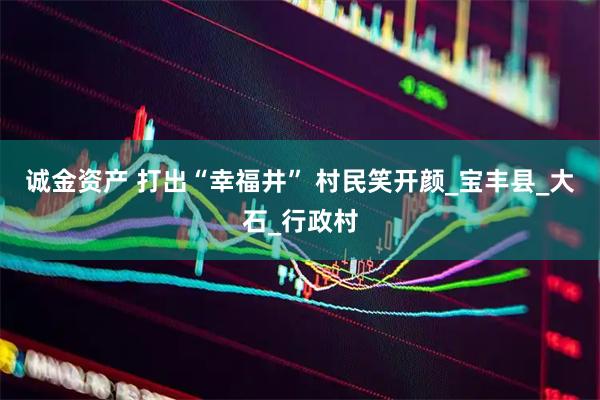 诚金资产 打出“幸福井” 村民笑开颜_宝丰县_大石_行政村